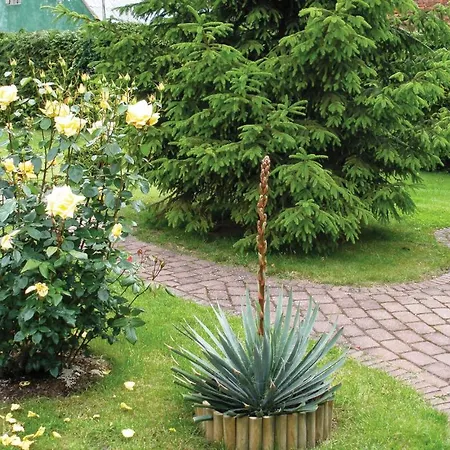 Holiday home Lovely Home In Nowe Warpno With Kitchen *